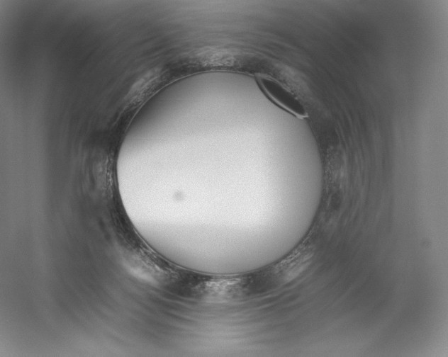 X0000059230172200511111558