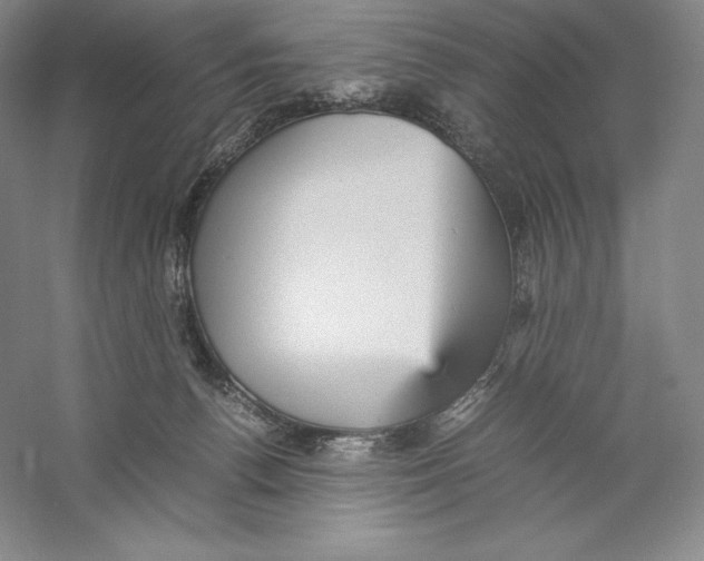 X0000059230176200511111558