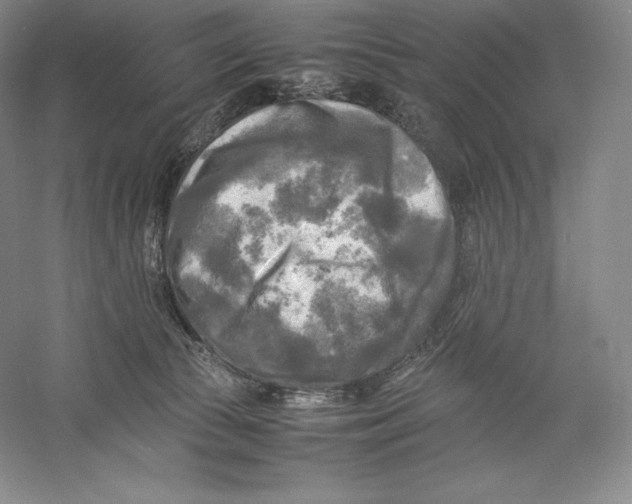 X0000059230177200511111558