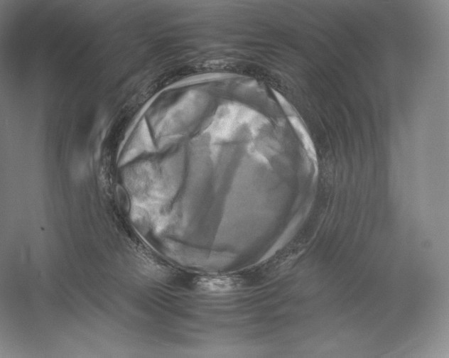 X0000059230181200511111558