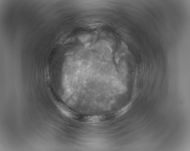 X0000059230182200511111558