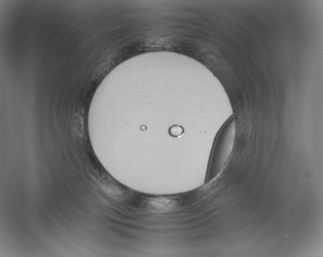 X0000059230183200511111558