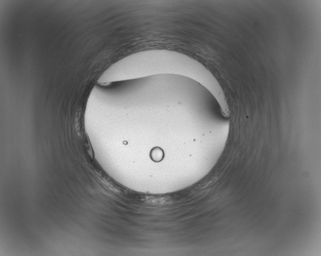 X0000059230185200511111558