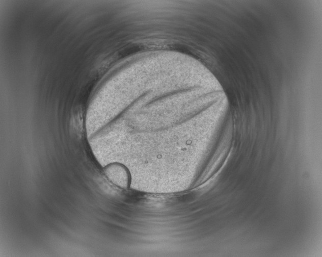 X0000059230190200511111558