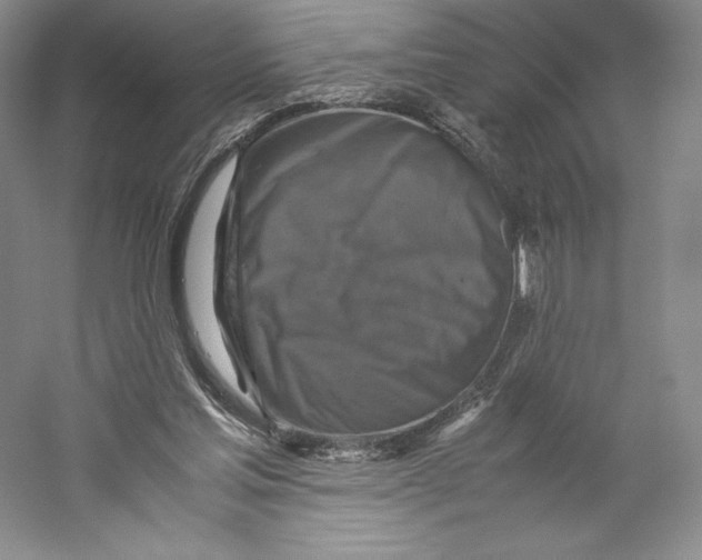 X0000059230205200511111557