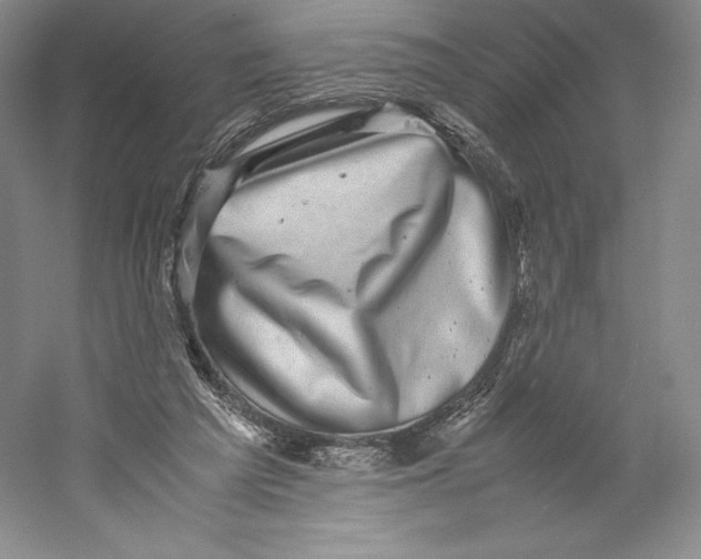 X0000059230209200511111557