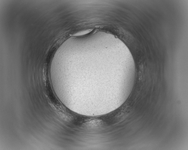 X0000059230210200511111557