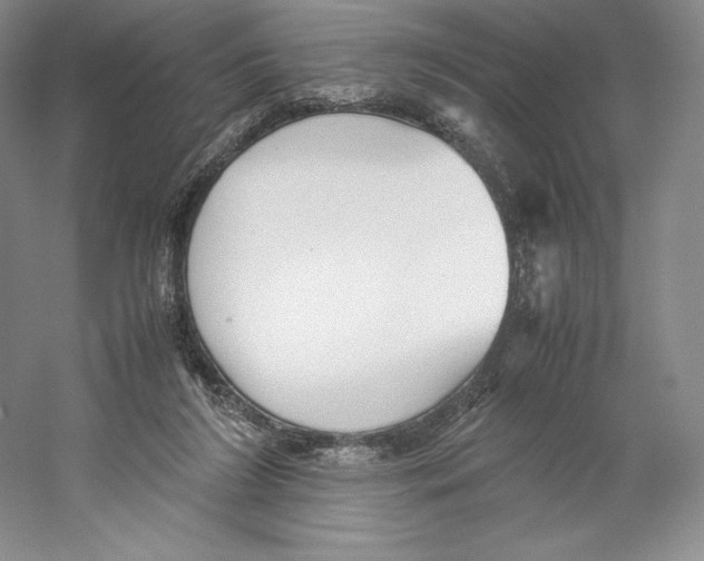 X0000059230212200511111557