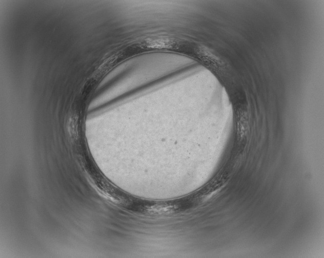 X0000059230213200511111557