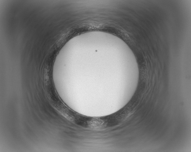 X0000059230215200511111557