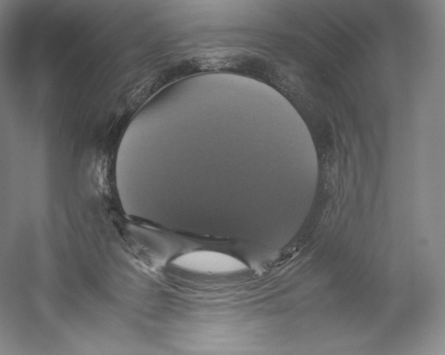 X0000059230219200511111557