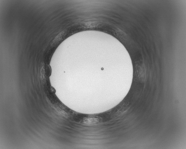 X0000059230220200511111557