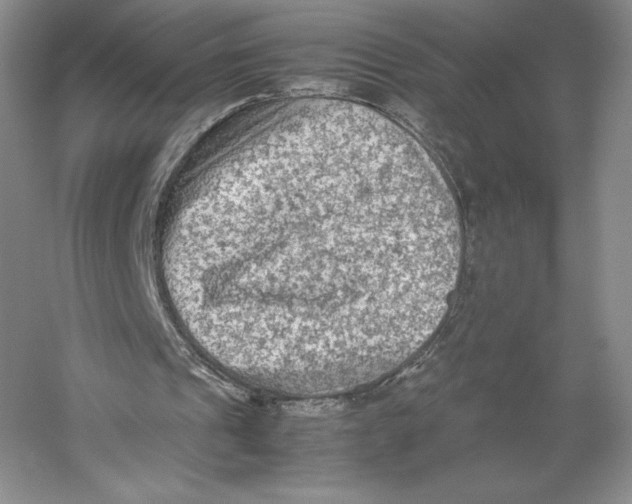 X0000059230241200511111556