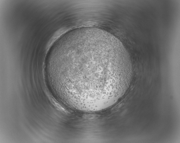 X0000059230242200511111556