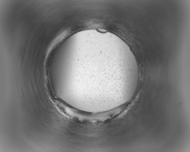 X0000059230245200511111556