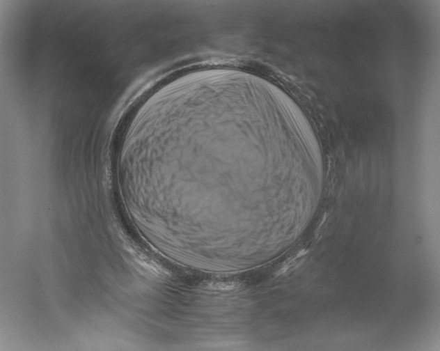 X0000059230247200511111556