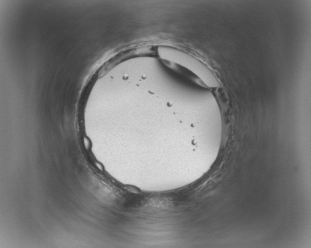 X0000059230248200511111556