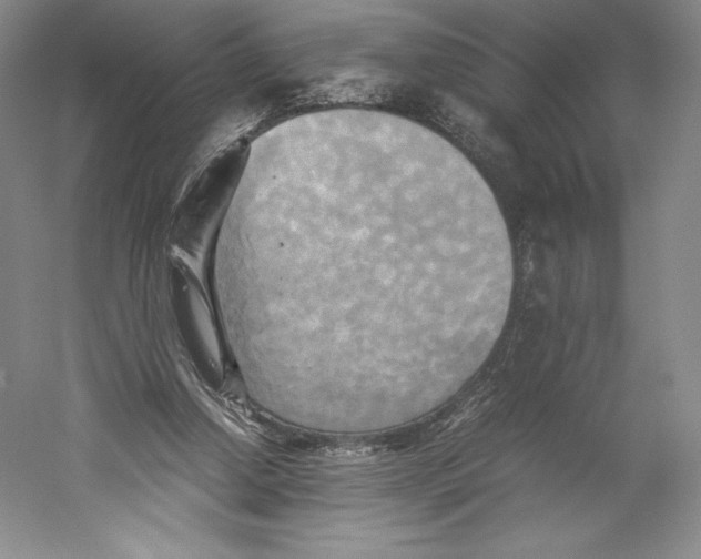 X0000059230250200511111556