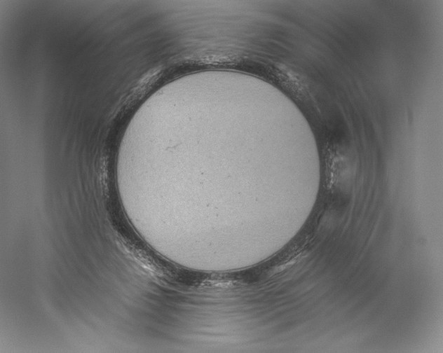 X0000059230260200511111556