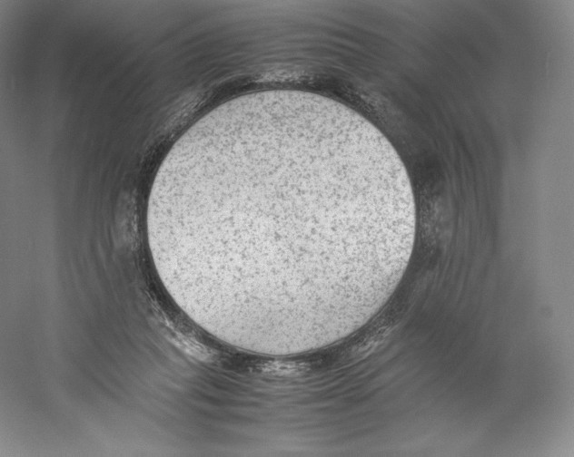 X0000059230261200511111556