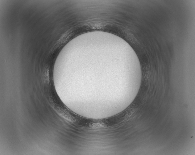 X0000059230262200511111556