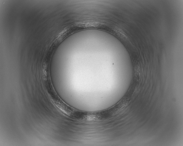 X0000059230264200511111556