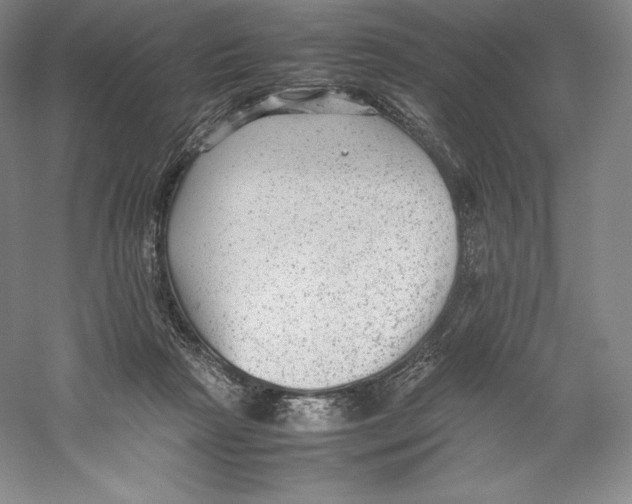 X0000059230265200511111556