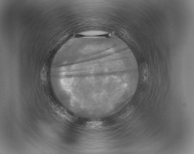 X0000059230266200511111556