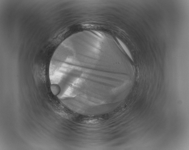 X0000059230267200511111556