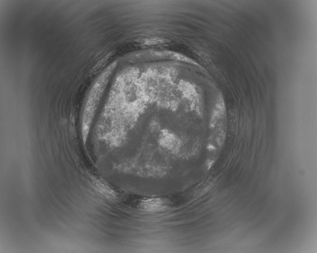 X0000059230269200511111556