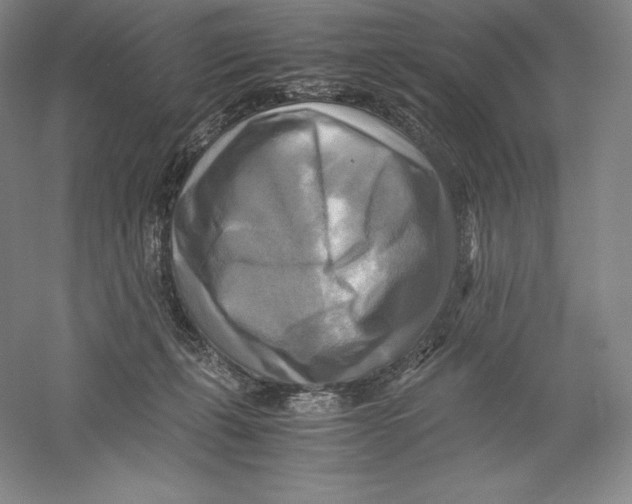 X0000059230271200511111556