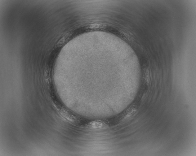 X0000059230272200511111556