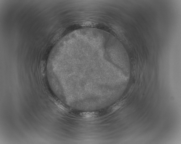 X0000059230273200511111556