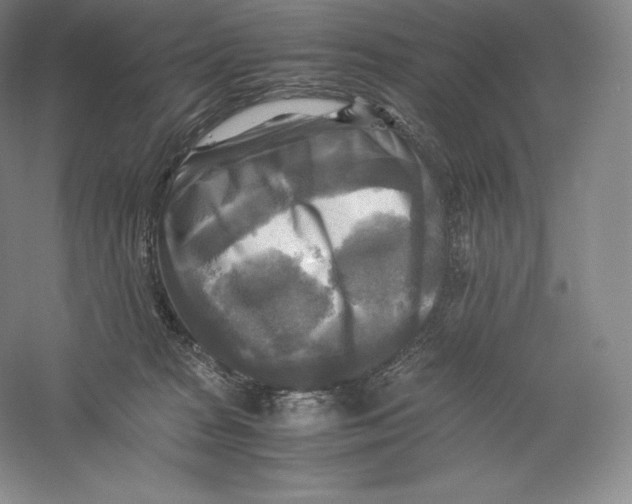 X0000059230277200511111556