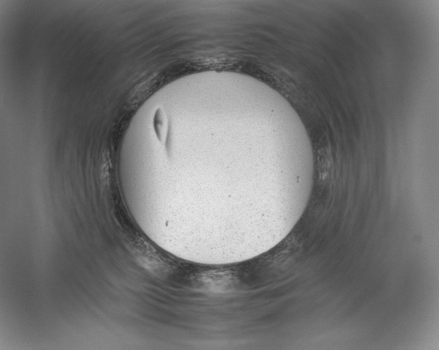 X0000059230279200511111556