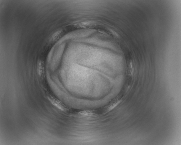 X0000059230284200511111557