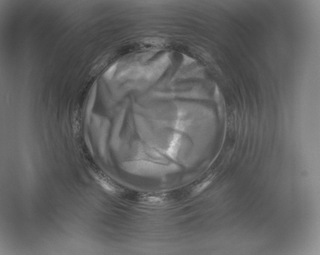 X0000059230285200511111557