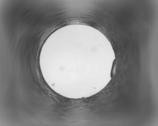 X0000059230289200511111556