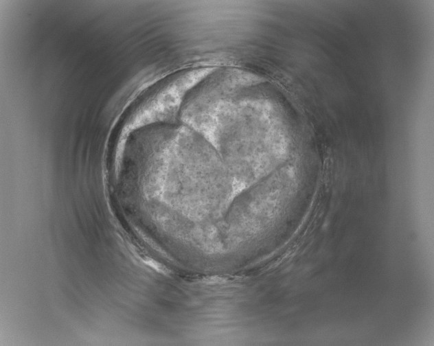 X0000059230290200511111556