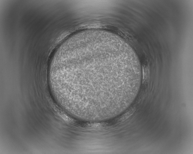 X0000059230301200511111556