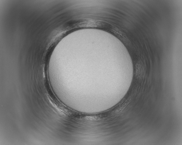 X0000059230302200511111556