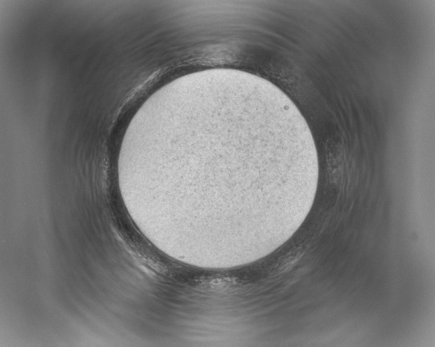 X0000059230304200511111556