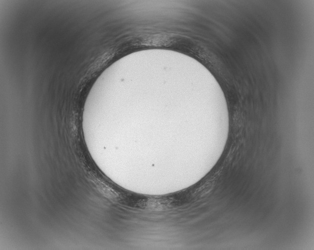 X0000059230305200511111556