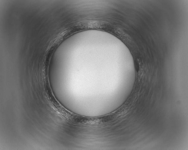 X0000059230306200511111556