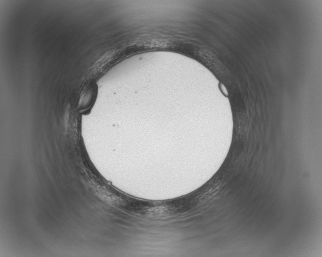 X0000059230309200511111555