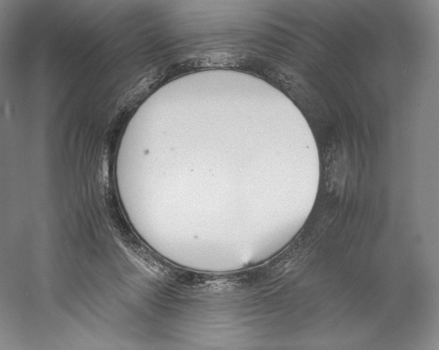 X0000059230310200511111555