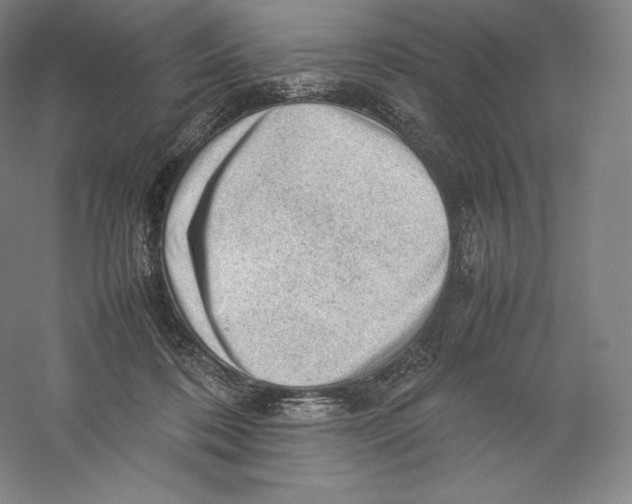 X0000059230316200511111555