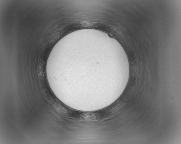 X0000059230317200511111555