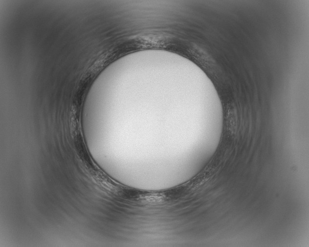 X0000059230318200511111555