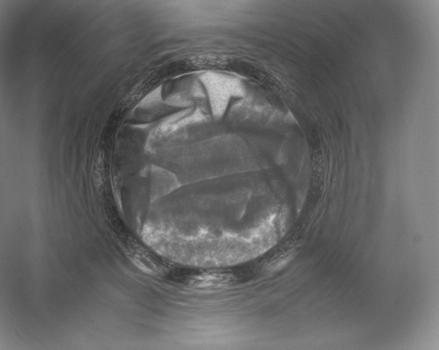 X0000059230323200511111555